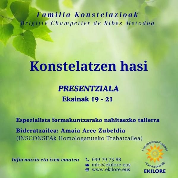 Konstelatzen hasi. Familia Konstelazioak